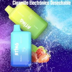 Cigarro Desechable 5000 puffs